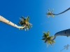 img_8894mentawaiisland