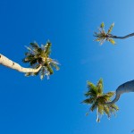 IMG_8894MentawaiIsland IMG_8894MentawaiIsland