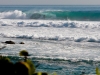 40z2915unidentifiedpalmbeach