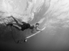 540z8097uluwatuchris