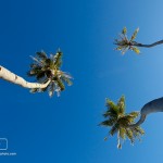 IMG_8894MentawaiIsland