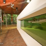 © 2012 Boca Raton Photography and Design use for Gumbo Limbo promotion only