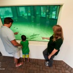 © 2012 Boca Raton Photography and Design use for Gumbo Limbo promotion only