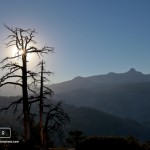 IMG_1866Yosemite