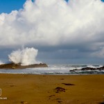 IMG_2852IsabellaMiddlesPuertoRico