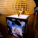 IMG_3542AbsolutMiamiTradeDec92012