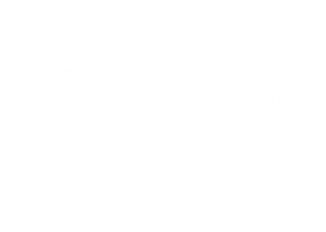 Island Water Sports